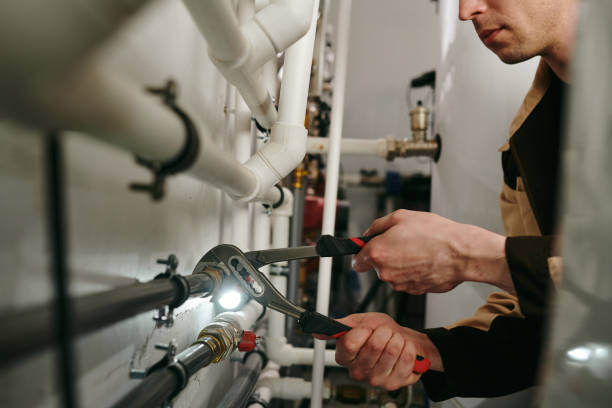 Best Local Plumber Services  in Blaine, TN